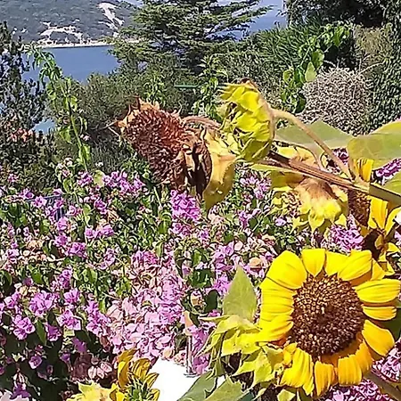 Apartment Stanka-rab