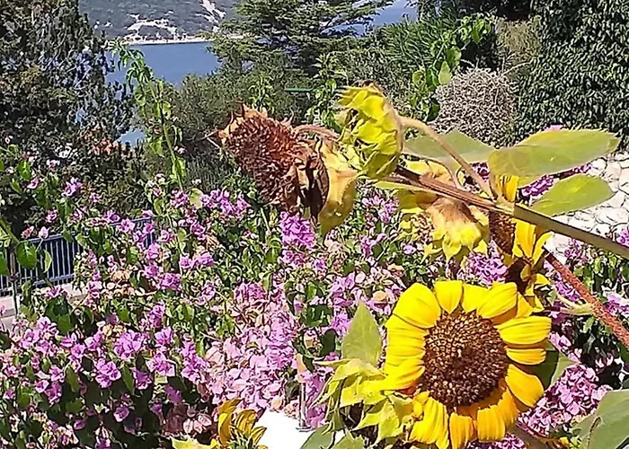 Appartamento Stanka-rab