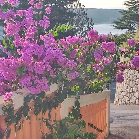 Apartment Stanka-rab *